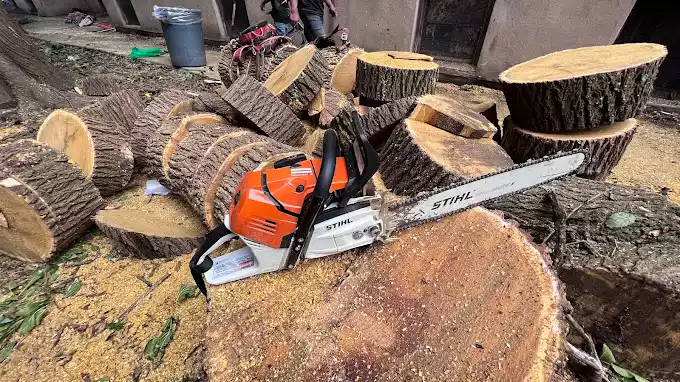 Tree Cutting Power Tree Removal